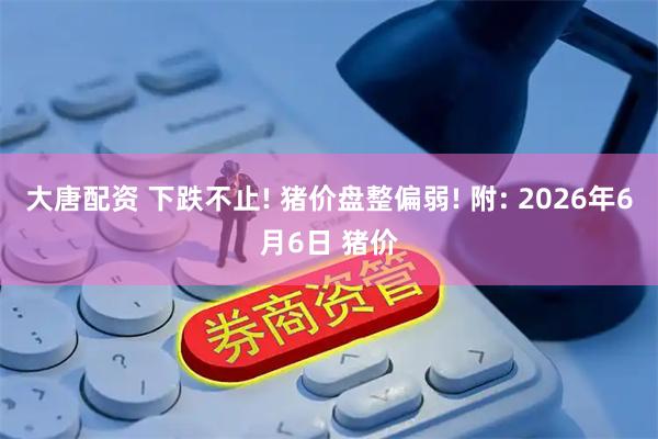 大唐配资 下跌不止! 猪价盘整偏弱! 附: 2026年6月6日 猪价